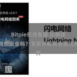 Bitpie在线客服 比特派钱包安全吗？专家详解其全面优势