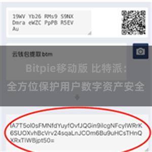 Bitpie移动版 比特派：全方位保护用户数字资产安全