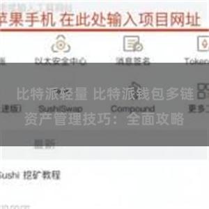 比特派轻量 比特派钱包多链资产管理技巧：全面攻略