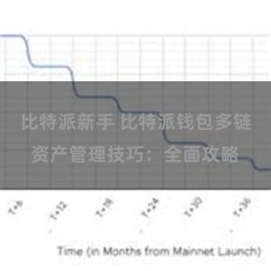 比特派新手 比特派钱包多链资产管理技巧：全面攻略