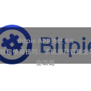 Bitpie APP地址 Bitpie钱包使用技巧：多链资产管理全攻略