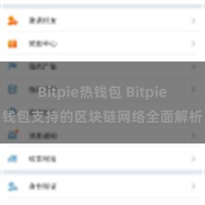 Bitpie热钱包 Bitpie钱包支持的区块链网络全面解析