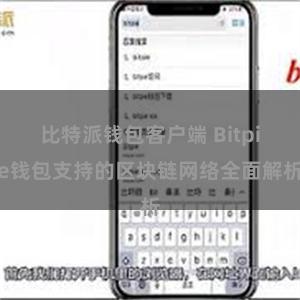 比特派钱包客户端 Bitpie钱包支持的区块链网络全面解析