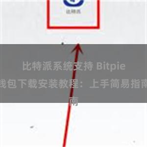 比特派系统支持 Bitpie钱包下载安装教程：上手简易指南