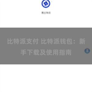 比特派支付 比特派钱包：新手下载及使用指南