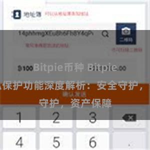 Bitpie币种 Bitpie钱包隐私保护功能深度解析：安全守护，资产保障