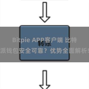 Bitpie APP客户端 比特派钱包安全可靠？优势全面解析!