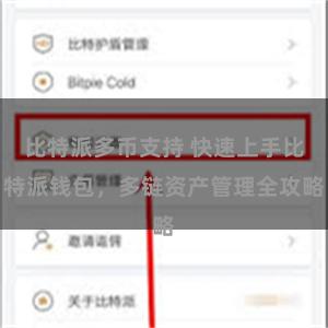 比特派多币支持 快速上手比特派钱包，多链资产管理全攻略