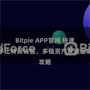 Bitpie APP官网 快速上手比特派钱包，多链资产管理全攻略