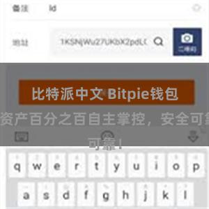 比特派中文 Bitpie钱包：资产百分之百自主掌控，安全可靠！