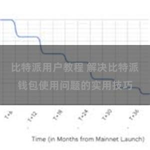 比特派用户教程 解决比特派钱包使用问题的实用技巧