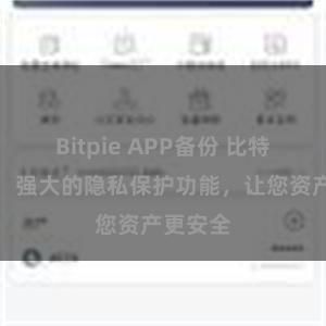 Bitpie APP备份 比特派钱包：强大的隐私保护功能，让您资产更安全