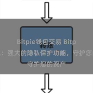 Bitpie钱包交易 Bitpie钱包：强大的隐私保护功能，守护您的资产