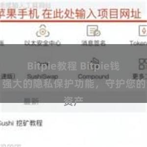 Bitpie教程 Bitpie钱包：强大的隐私保护功能，守护您的资产