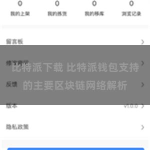 比特派下载 比特派钱包支持的主要区块链网络解析