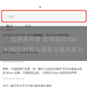 比特派升级 比特派(Bitpie)钱包的团队背景与技术实力