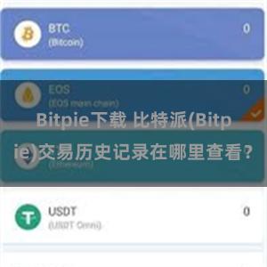 Bitpie下载 比特派(Bitpie)交易历史记录在哪里查看？