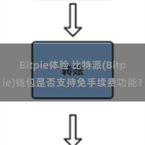 Bitpie体验 比特派(Bitpie)钱包是否支持免手续费功能？