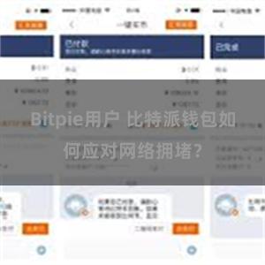 Bitpie用户 比特派钱包如何应对网络拥堵？