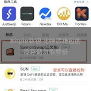 Bitpie私钥 比特派钱包的冷存储功能解析