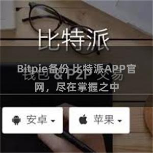 Bitpie备份 比特派APP官网，尽在掌握之中