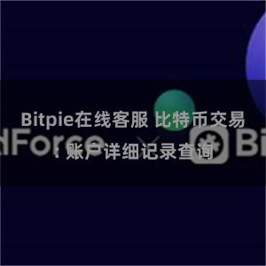Bitpie在线客服 比特币交易: 账户详细记录查询
