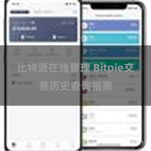 比特派在线管理 Bitpie交易历史查询指南