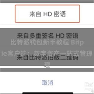 比特派钱包新手教程 Bitpie客户端：数字资产一站式管理