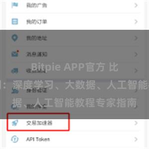 Bitpie APP官方 比特派教程官网：深度学习、大数据、人工智能教程专家指南