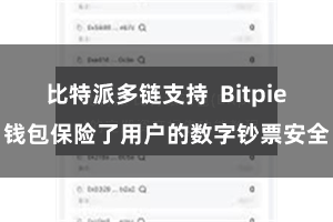比特派多链支持 Bitpie钱包保险了用户的数字钞票安全