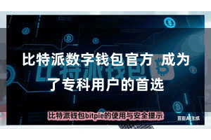 比特派数字钱包官方  成为了专科用户的首选