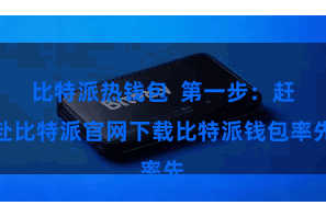 比特派热钱包  第一步：赶赴比特派官网下载比特派钱包率先