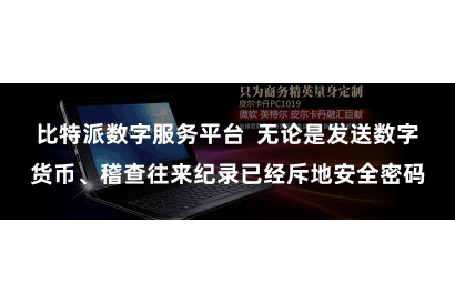 比特派数字服务平台  无论是发送数字货币、稽查往来纪录已经斥地安全密码