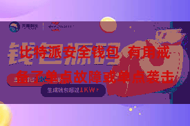 比特派安全钱包  有用戒备了单点故障或单点袭击
